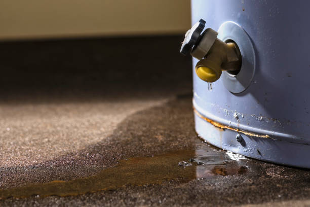 Best Carpet water damage restoration  in Southside, AL