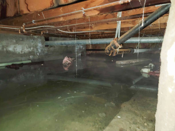  Southside, AL Water damage restoration Pros
