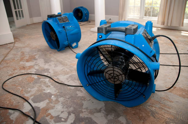 Best Fire Damage Restoration  in Southside, AL