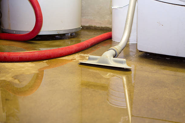Best Residential water damage restoration  in Southside, AL