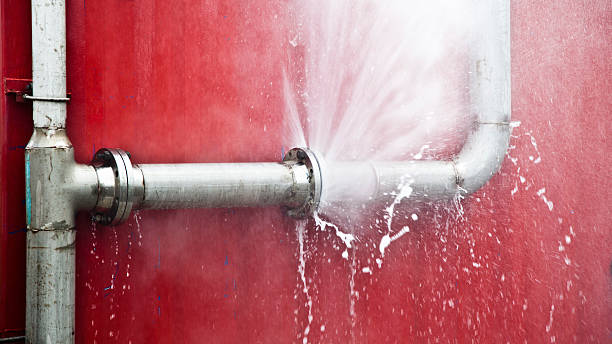 Best Mold removal after water damage  in Southside, AL